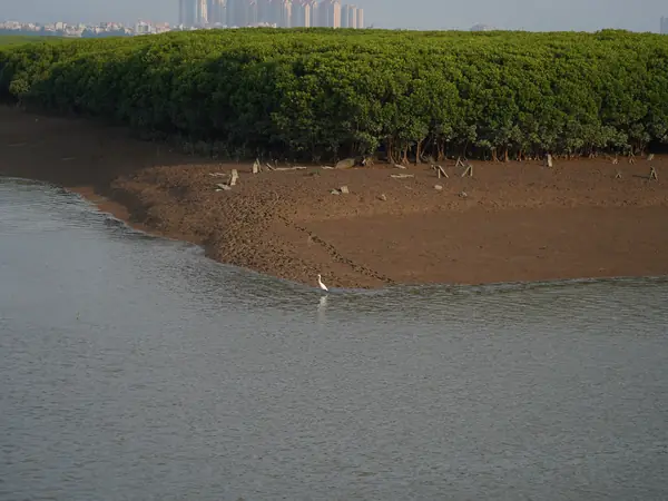 城市天际线
