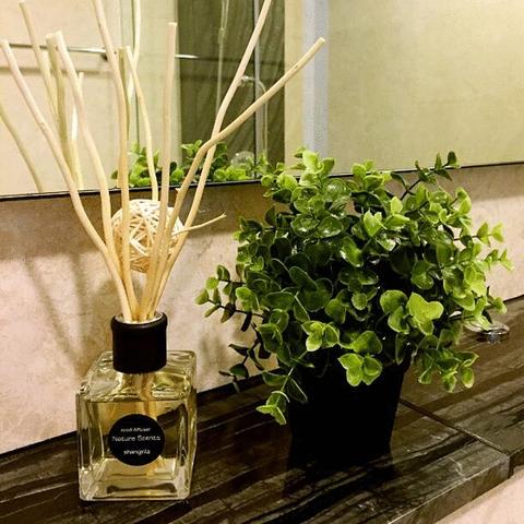 当自来水飘出油漆味：古人用了千年的“空气净化术”，才是异味焦虑的终极解药
