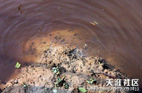 柳江锑污染引发焦虑？千年香文化教你用一缕香抚平不安