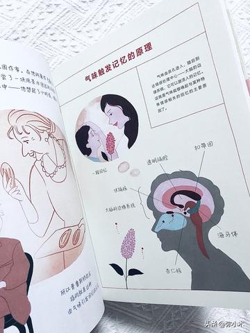 未命名文章 762