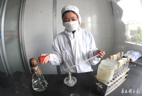 穿越千年的香踪：从丝绸之路到现代工坊，香料产地的秘密你知道多少？