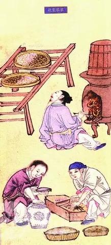 古人的夏日防虫智慧：这几味香，让蚊虫退退退！